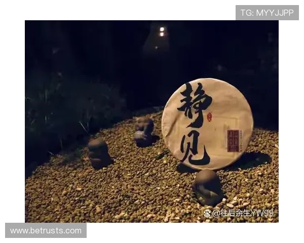 怀特深情告白:波士顿是我内心的归属和真正的快乐源泉 怀特深情告白:波士顿是我内心的归属和真正的快乐源泉