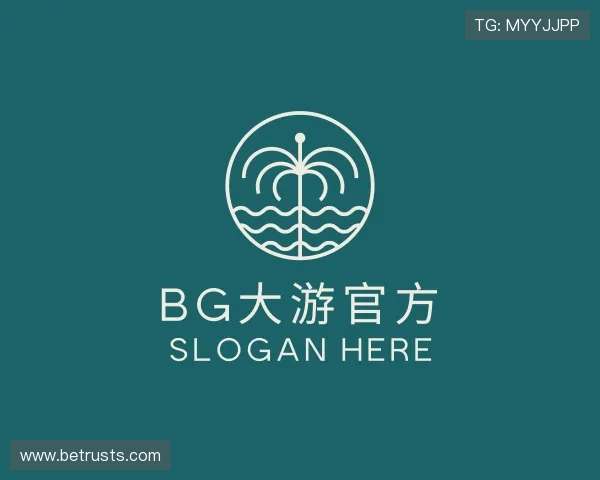 解读bg大游官方